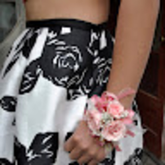 Meet your Posher, Hannah-rose - Picture 1 of 1